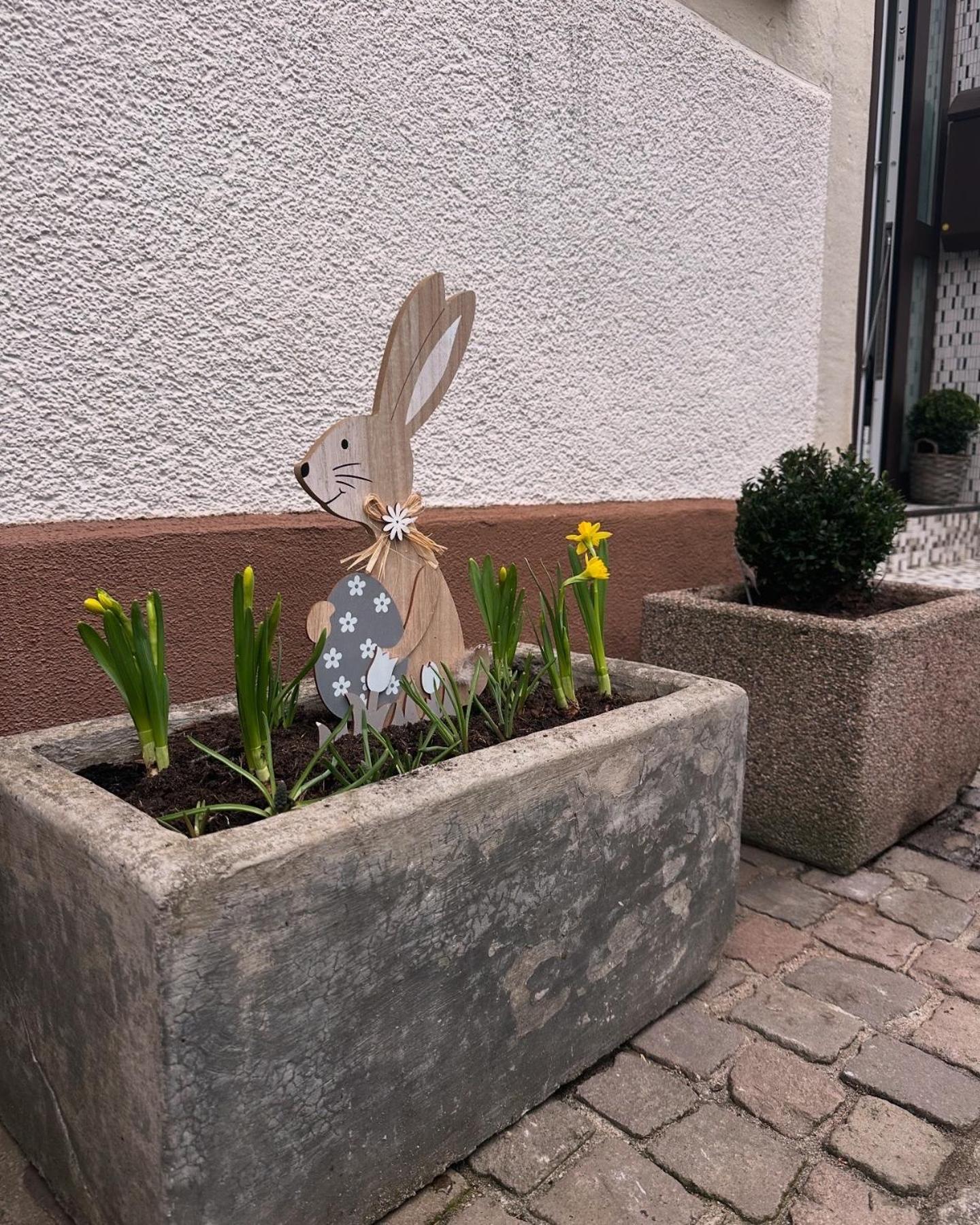 Ferienwohnung Am Berg Bad Bergzabern Exterior foto